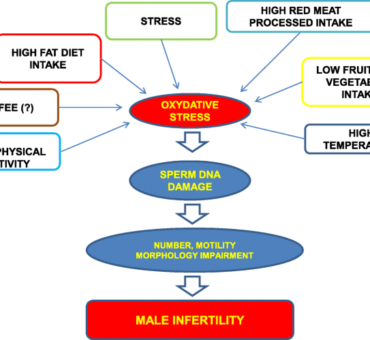 iranidawakhana-treatment-male-treatment-male-infertility-psychological-problems